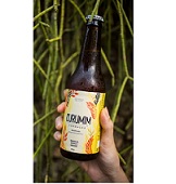 Kombuchá de Maracujá com Hibisco e Gengibre